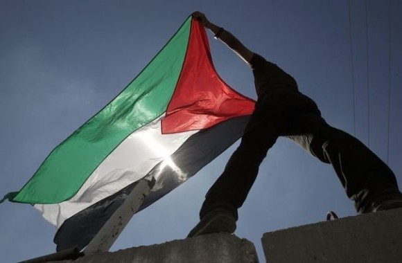 Palestine flag drapeau