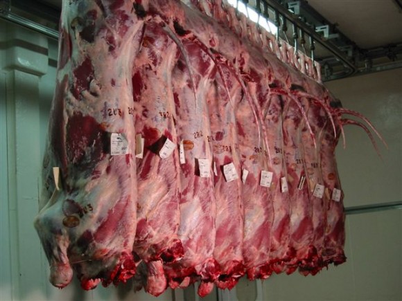 Ramadhan 2013 : Importation de 2000 tonnes de viandes congelées