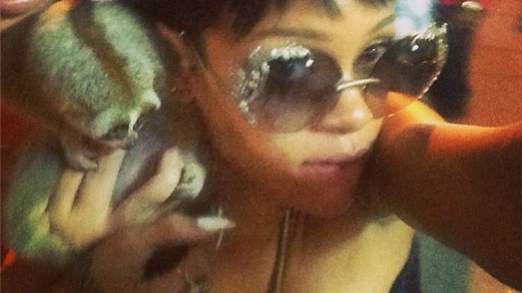 Rihanna a tweeté une photo d'elle avec un loris protégé