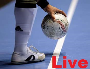 Futsal-Belgique-Roumanie-Streaming-Live