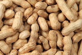 le traitement contre l'allergie aux cacahuètes n'est pas totalement au point