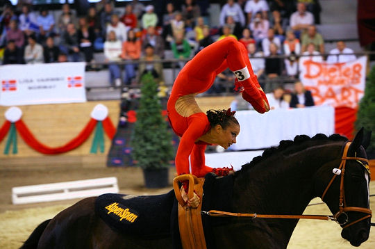 L'équitation et les Championnats d'Europe