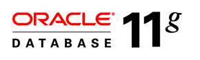 Oracle Databse 11g