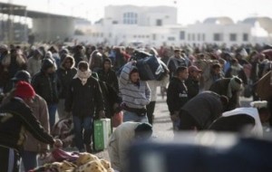 Des réfugiés en Tunisie fuyant la violence de Kadhafi 