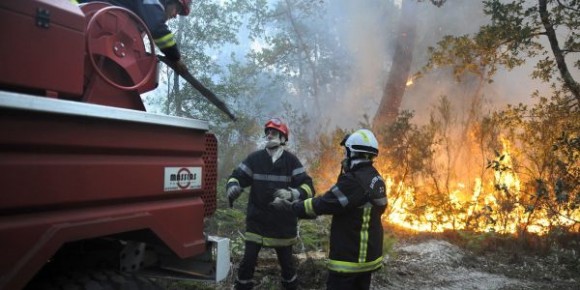 Lutte contre 15 incendies déclenchés en même temps à Jendouba