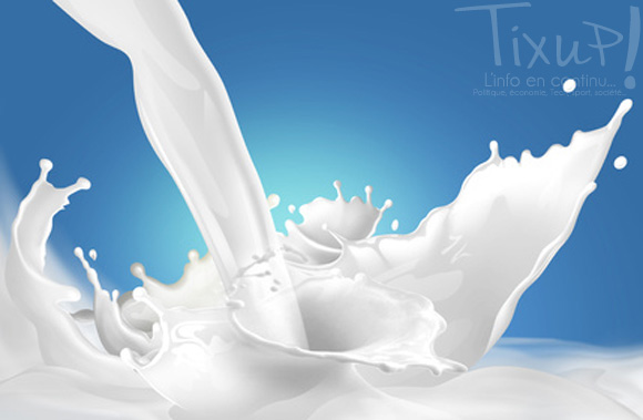 milk - lait