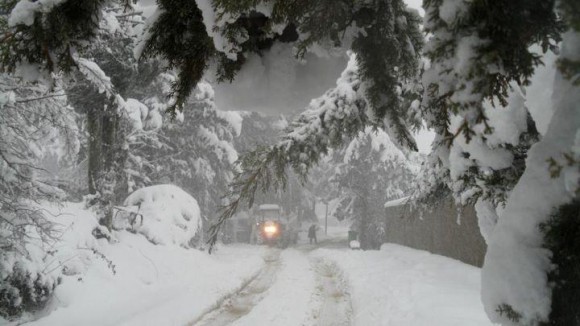 Jendouba enregistre d'importantes chutes de neige