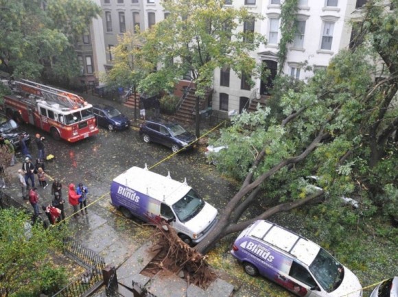 Sandy Ouragan - Des arbres déracinés (New York)