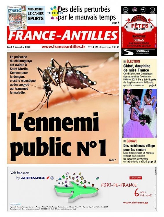 le moustique Aedes Aegypti transmetteur du virus