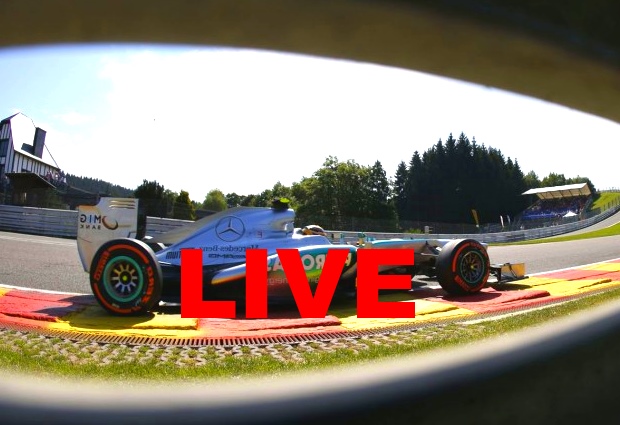 GP F1 Spa Francorchamps 2014 Streaming