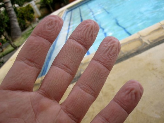 L'effet de l'eau sur les doigts