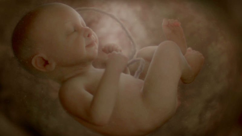 Voir le documentaire de France 2 : Nos bébés ont une histoire