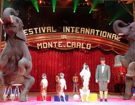 Regarder le 40e Festival international du cirque de Monte-Carlo sur France 3