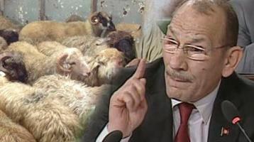 A. Maâtar explique la perte de 3 millions de dinars (en vidéo)