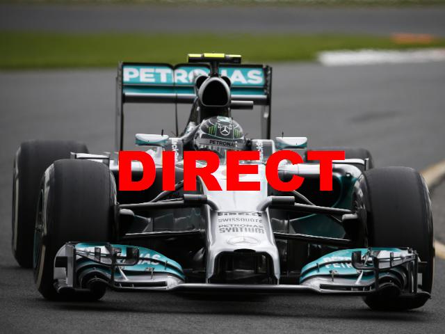 Qualifications F1 GP de Russie 2014 en direct TV et streaming vidéo grille de départ Sotchi
