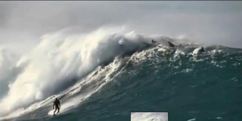 Voir l'émission Thalassa sur le Pays basque ce 22 avril sur France 3