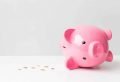 Economies Tirelire Finance Argent Cochon Rose