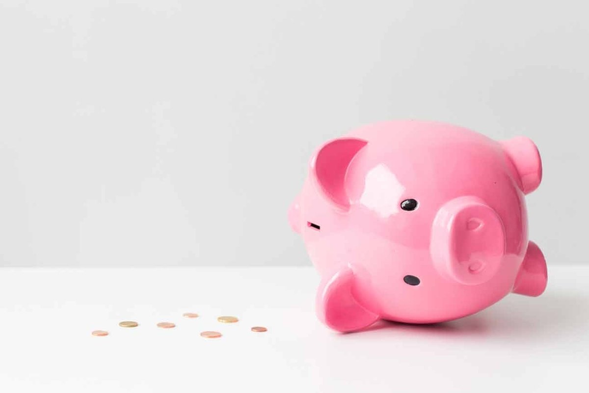 Economies Tirelire Finance Argent Cochon Rose